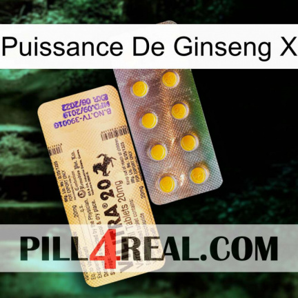 Ginseng Power X new06